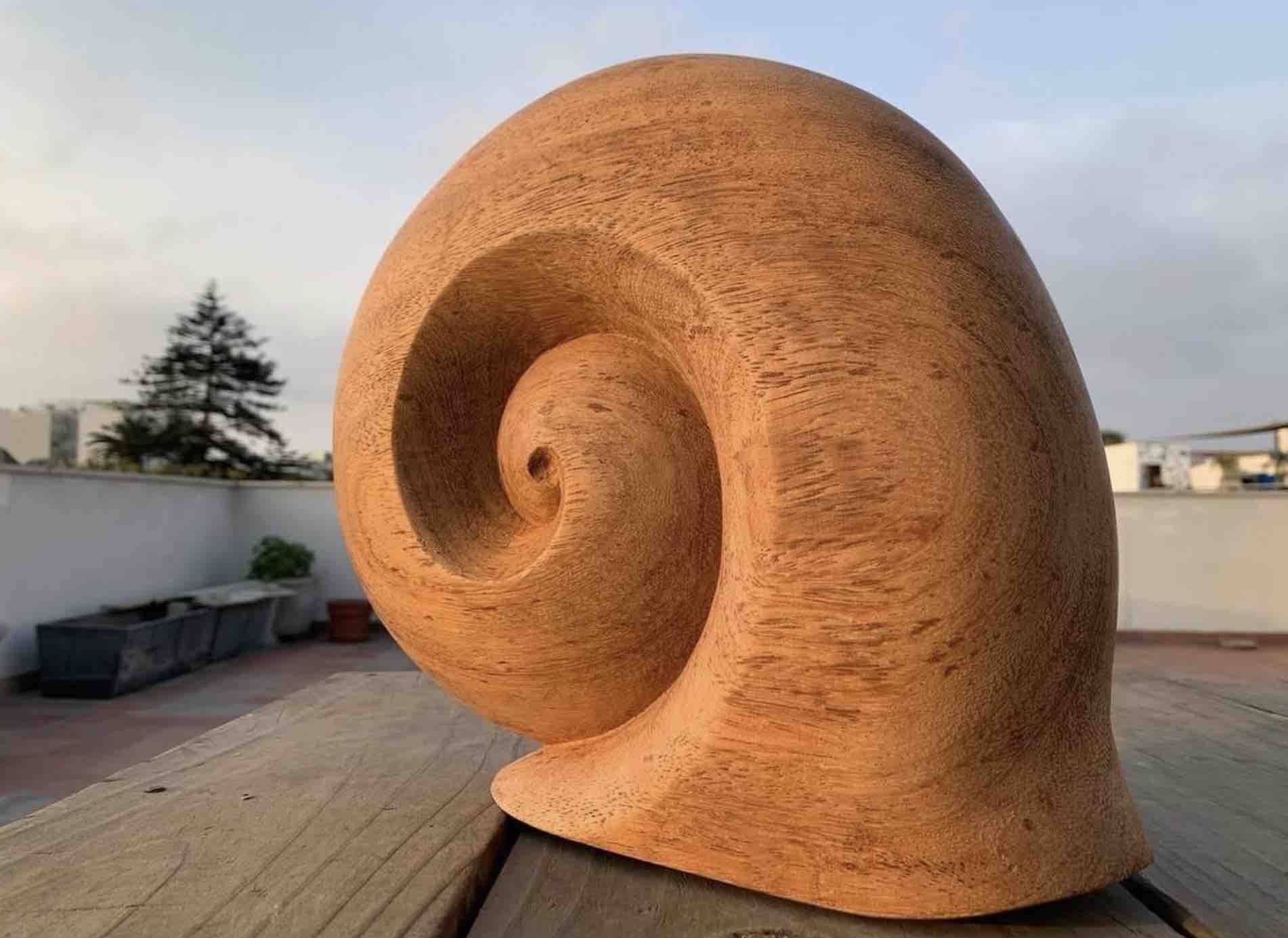 Form & Flow: Sculpting The Intuitive Object